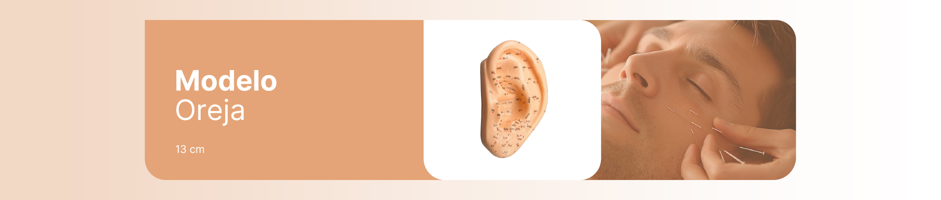 MODELO OREJA 13 CM
MODELO OREJA 13 CM
MODELO OREJA 13 CM
MODELO OREJA 13 CM