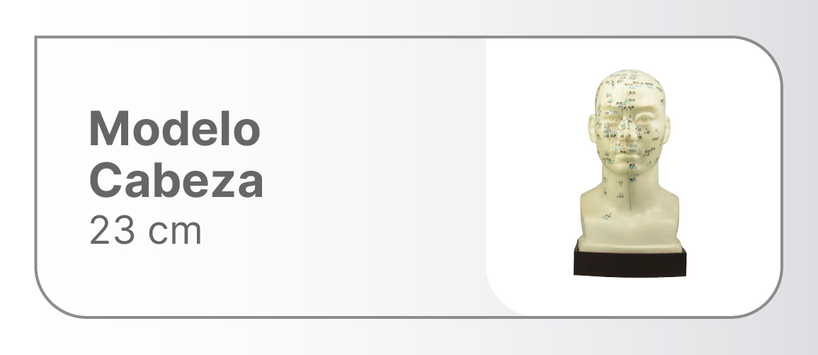 MODELO CABEZA 23 CM
MODELO CABEZA 23 CM
MODELO CABEZA 23 CM