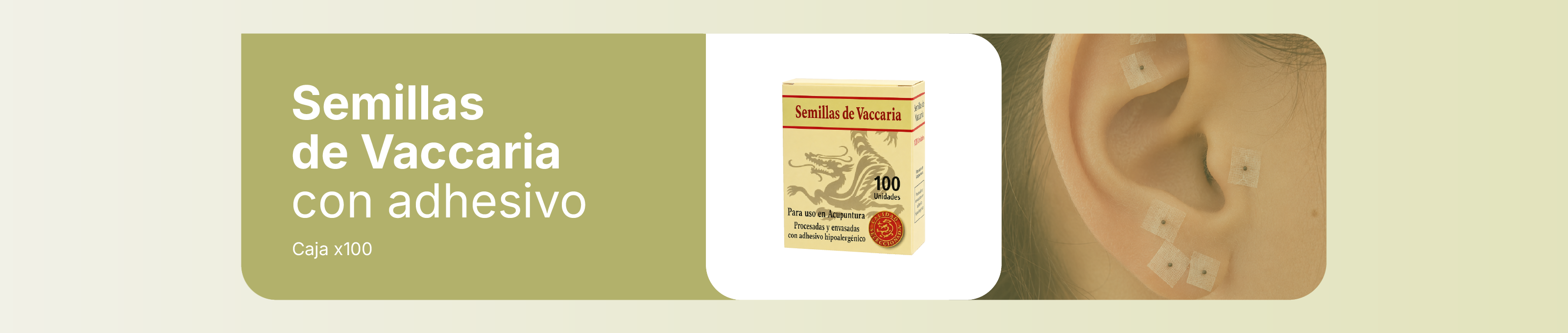 SEMILLAS NATURALES DE VACCARIA
ADHESIVO HIPOALERGÉNICO COLOR PIEL
ORIGEN: CHINA

SEMILLAS DE VACCARIA SELECCIONADAS DE 2 MM DE DIÁMETRO APROX. PARA USO EN AURICULOTERAPIA
CON ADHESIVO
CAJA DE 100 UNIDADES