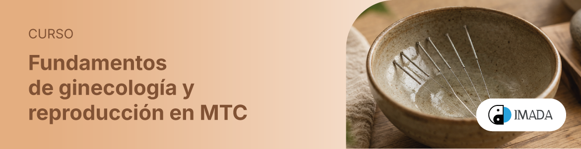 Fundamentos de ginecología y reproducción en MTC