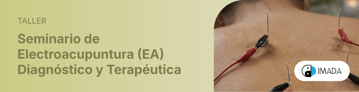 Seminario de Electroacupuntura (EA) / Diagnóstico y Terapéutica