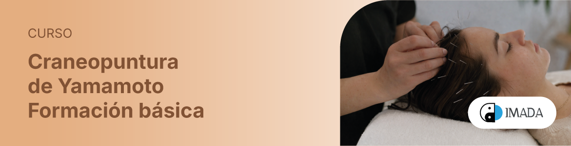 Craneopuntura de Yamamoto / Formación básica