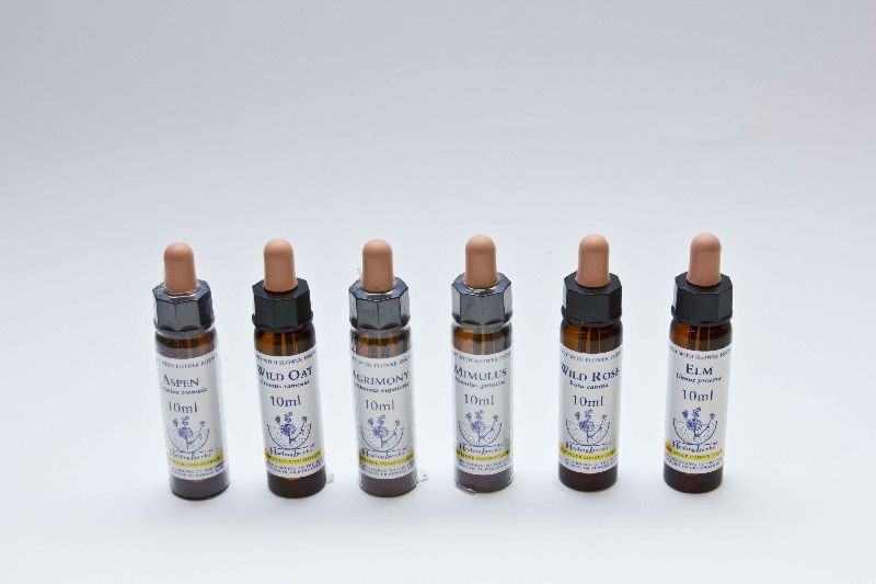 Oak X 10 Ml