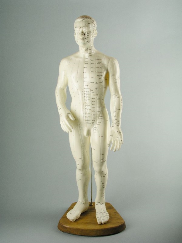 Modelo Masculino 50 Cm