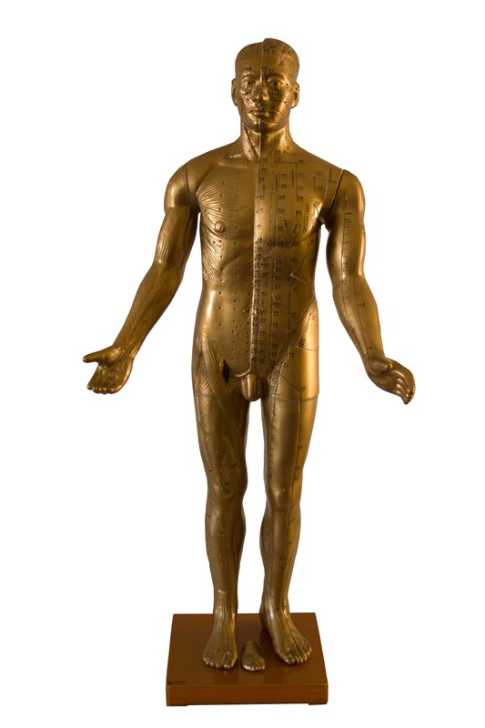 Modelo Masculino 84 Cm