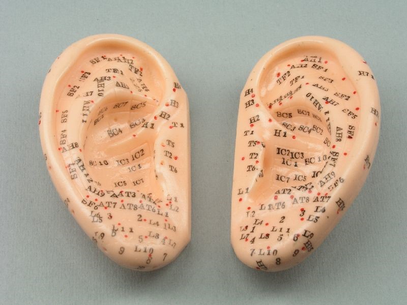 Modelo Oreja 7,5 Cm - Par