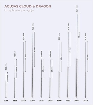 Mango Chino Plateado Cloud & Dragon 0,30 mm X 40 mm 1 Aplicador X Aguja Caja X 100